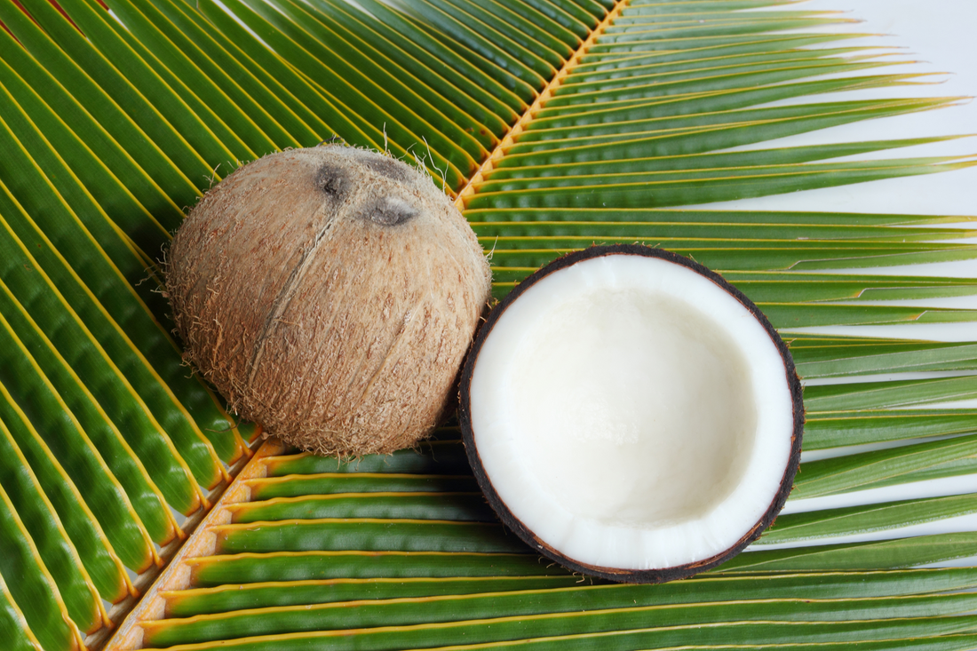 The Benefits of Coconut: A Beginner’s Guide to This Superfood